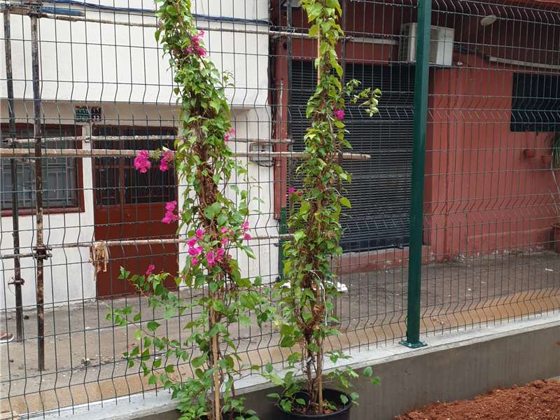 BORJ-HAMMOUD REHABILITATION AND PARC