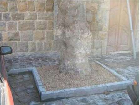 HASSROUN